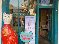 -猫咪博物馆(顶澳仔猫街店)
