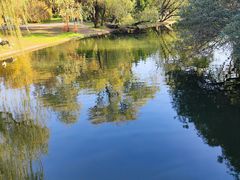 -上海共青森林公园