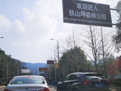 -铁山坪森林公园
