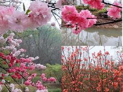 -南山风景名胜区