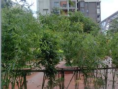 -巴蜀风月·聚会团建·生日宴(宝安店)