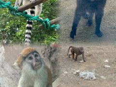 -杭州野生动物世界