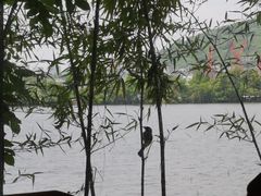 -东湖食堂·湖景餐厅•会议