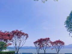 -东钱湖小普陀景区