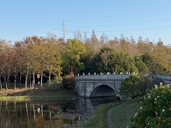 -上海海湾国家森林公园