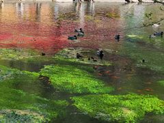 -水磨沟公园