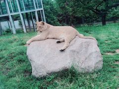 -西安秦岭野生动物园