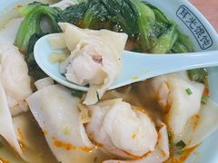 鲜虾肉馄饨-潘国仙耳光馄饨(黄家阙路店)