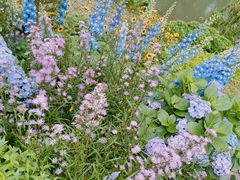 -人民公园(罗湖区)