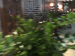 -南国会酒家(岗顶1站广场店)