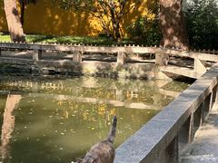 -西园戒幢律寺