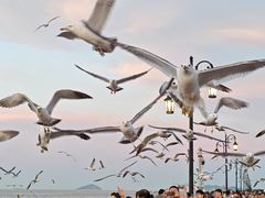 -东港音乐喷泉广场