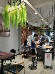 -藤野造型·专业烫染店