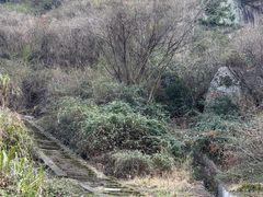 -长沙黑麋峰国家森林公园