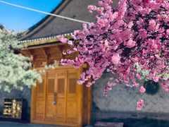 -西宁市东关清真大寺