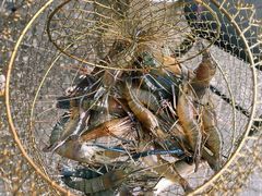 -SHRIMP CLUB万东餐饮钓虾·清吧