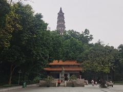 -顺峰山公园