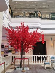 体验前-禾丽康美医疗美容医院