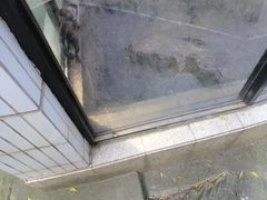 -昆明动物园
