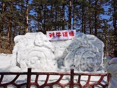 -瓦屋山景区