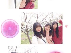 -堤角公园