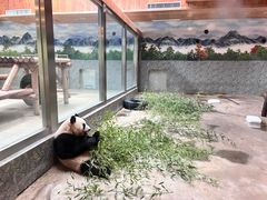 -西安秦岭野生动物园