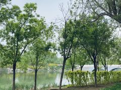 -马家湾湿地公园
