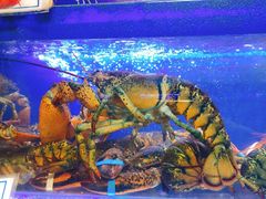 -船梆煮•蒸汽海鲜·炉火烤肉(五四广场店)