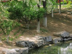 -大兴滨河森林公园