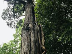-青岛崂山太清宫