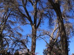 -张掖大佛寺景区