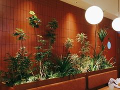 -奈雪的茶(松江万达店)