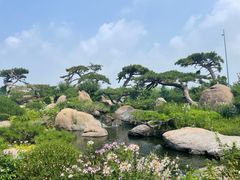 -罗红摄影艺术馆