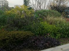-府河摄影公园
