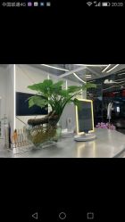 -MYYF SALON烫发染发