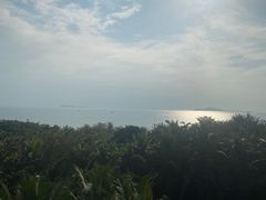 -三亚湾海居铂尔曼度假酒店