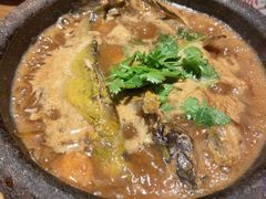 -小放牛炒菜馆(三丰店)
