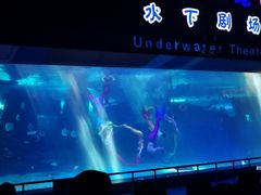 -泉城欧乐堡海洋极地世界