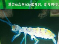 -上海昆虫博物馆