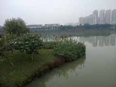 -眉山湿地公园(东坡区)