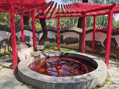 -稻香湖景欢乐岛温泉城堡