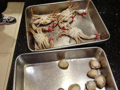 -鲜鲜·鲅鱼圈海鲜(于洪店)