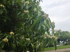 -象山森林公园
