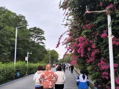 -红花湖景区