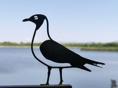 -野鸭湖国家湿地公园