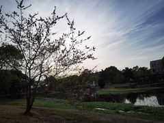 -美兰湖景区