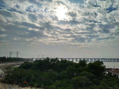 -宝安西湾红树林湿地公园