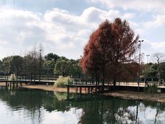 -尚贤河湿地