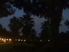 -福建鲤鱼洲酒店