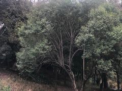 -宁波野生动物园